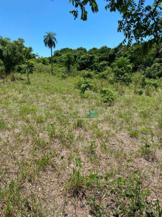 Imagem Chácara com 2 Quartos à Venda, 150 m² em Tarumã - Campo Grande