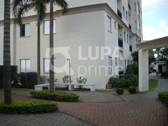 Imagem Apartamento com 2 Quartos à Venda, 49 m² em Vila Maria - São Paulo Imagem Apartamento com 2 Quartos à Venda, 49 m² em Vila Maria - São Paulo