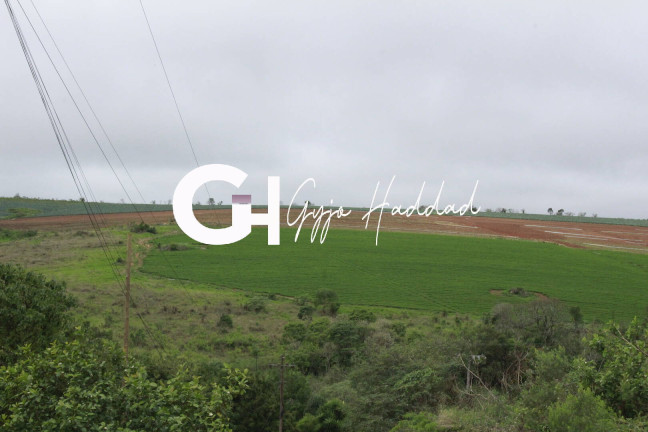 Imagem Terreno à Venda, 14 m² em Piedade Imagem Terreno à Venda, 14 m² em Piedade