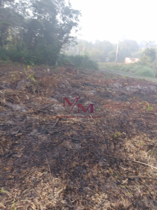 Imagem Terreno à Venda, 1.600 m² em Guaraguaçu - Pontal Do Paraná Imagem Terreno à Venda, 1.600 m² em Guaraguaçu - Pontal Do Paraná