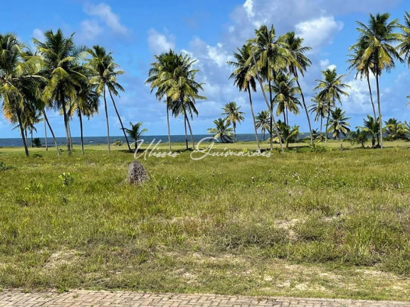 Imagem Casa com 5 Quartos à Venda, 304 m² em Praia Do Forte - Mata De São João Imagem Casa com 5 Quartos à Venda, 304 m² em Praia Do Forte - Mata De São João