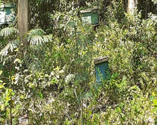 Imagem Imóvel com 1 Quarto à Venda,  em Vila Rica - Presidente Lucena