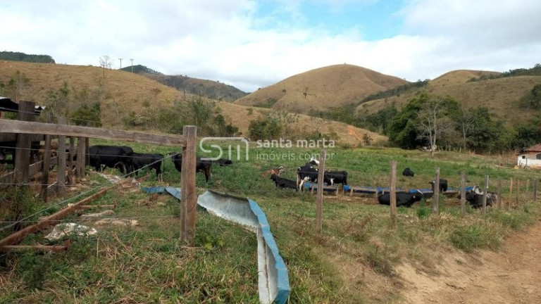 Imagem Imóvel com 1 Quarto à Venda, 1.573.000 m² em Três Barras - Cachoeira Paulista
