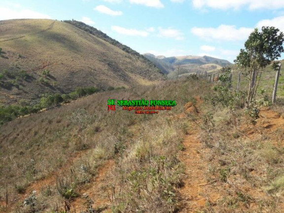 Imagem Chácara à Venda, 10.000 m² em São Francisco Xavier - São José Dos Campos Imagem Chácara à Venda, 10.000 m² em São Francisco Xavier - São José Dos Campos