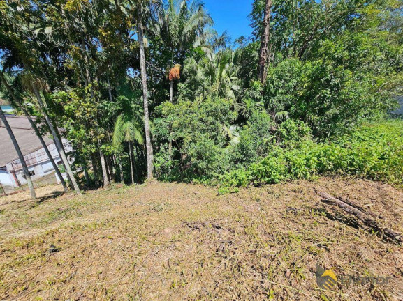Imagem Terreno à Venda, 500 m² em Escola Agrícola - Blumenau Imagem Terreno à Venda, 500 m² em Escola Agrícola - Blumenau