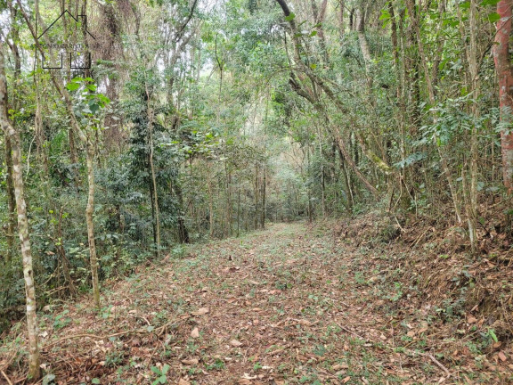 Imagem Chácara à Venda, 56 m² em Cachoeira Abaixo - Piracaia Imagem Chácara à Venda, 56 m² em Cachoeira Abaixo - Piracaia
