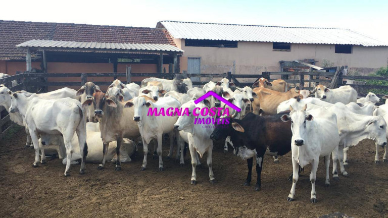 Imagem Fazenda à Venda, 2 m² em Banqueiros - Araruama Imagem Fazenda à Venda, 2 m² em Banqueiros - Araruama
