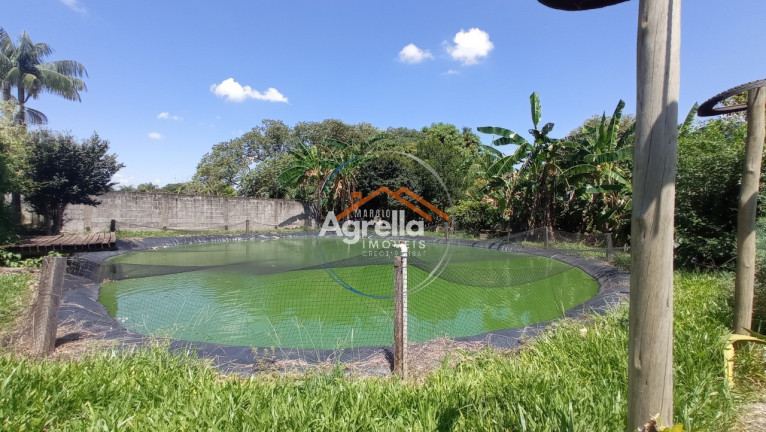 Imagem Imóvel com 2 Quartos à Venda, 130 m² em Condomínio De Chácaras Santa Isabel - Mogi Mirim Imagem Imóvel com 2 Quartos à Venda, 130 m² em Condomínio De Chácaras Santa Isabel - Mogi Mirim