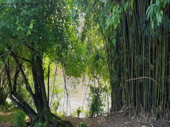 Imagem Terreno à Venda, 8 m² em Linha Temerária - Nova Petrópolis Imagem Terreno à Venda, 8 m² em Linha Temerária - Nova Petrópolis