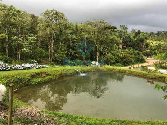 Imagem Chácara com 3 Quartos à Venda, 1.200.000 m² em Lageado Alto - Guabiruba