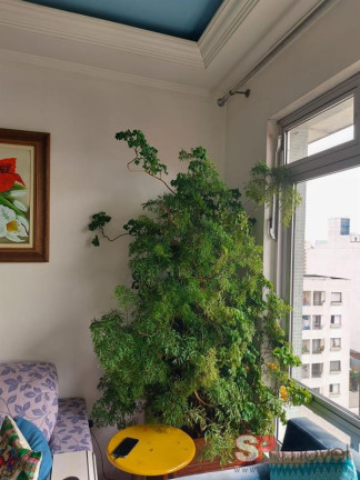 Imagem Apartamento com 2 Quartos à Venda, 86 m² em Campos Elíseos - São Paulo Imagem Apartamento com 2 Quartos à Venda, 86 m² em Campos Elíseos - São Paulo