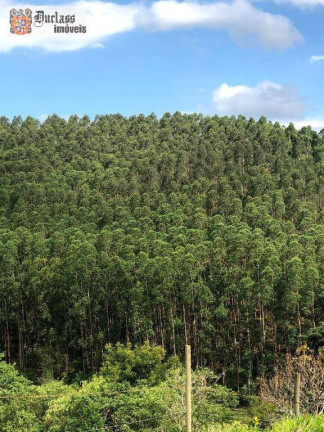 Imagem Fazenda à Venda, 2.178.000 m² em Jambeiro