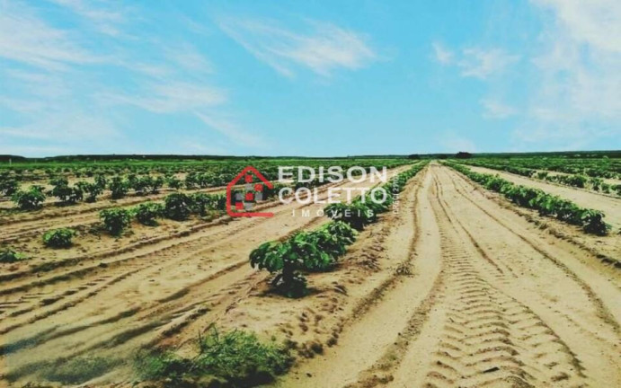 Imagem Fazenda à Venda, 6.000.000 m² em Centro - Itamaraju