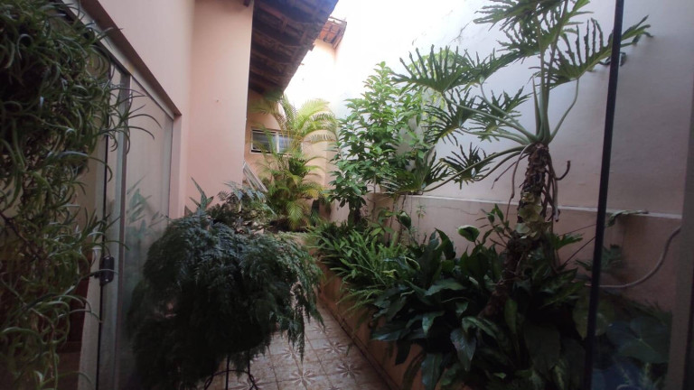 Imagem Casa com 3 Quartos para Alugar, 250 m² em Jardim Vergueiro - Sorocaba