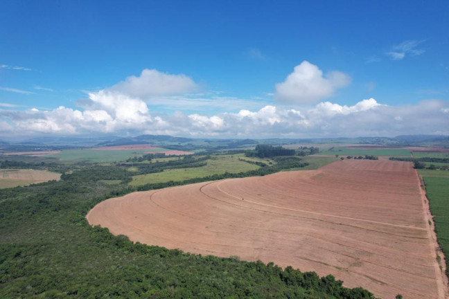 Imagem Chácara à Venda, 43 m² em Zona Rural - Tambaú Imagem Chácara à Venda, 43 m² em Zona Rural - Tambaú