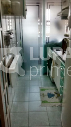 Imagem Apartamento com 2 Quartos à Venda, 50 m² em Lauzane Paulista - São Paulo
