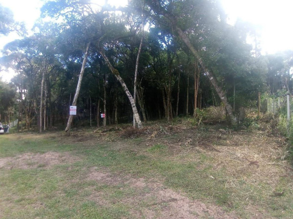 Imagem Terreno à Venda, em Planta Granjas Eldorado - Piraquara Imagem Terreno à Venda, em Planta Granjas Eldorado - Piraquara