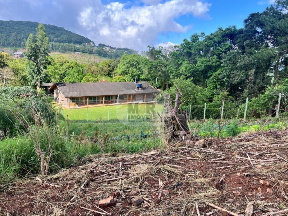 Imagem Terreno à Venda, 450 m² em Piá - Nova Petrópolis Imagem Terreno à Venda, 450 m² em Piá - Nova Petrópolis