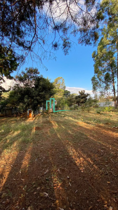 Imagem Imóvel com 4 Quartos à Venda, 5.006 m² em Morada Do Sol - Franca Imagem Imóvel com 4 Quartos à Venda, 5.006 m² em Morada Do Sol - Franca