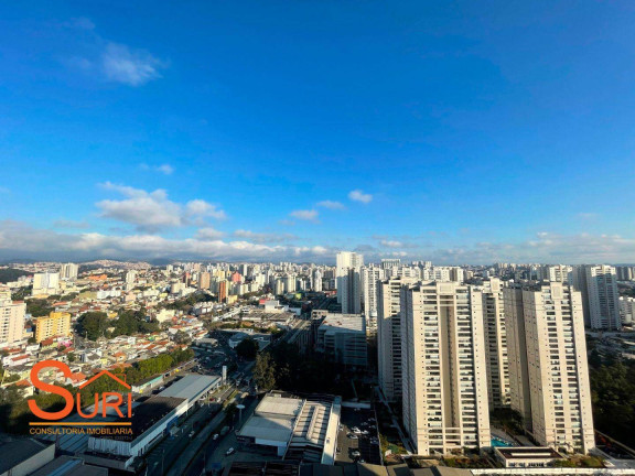 Imagem Imóvel para Alugar, 500 m² em Vila Baeta Neves - São Bernardo Do Campo