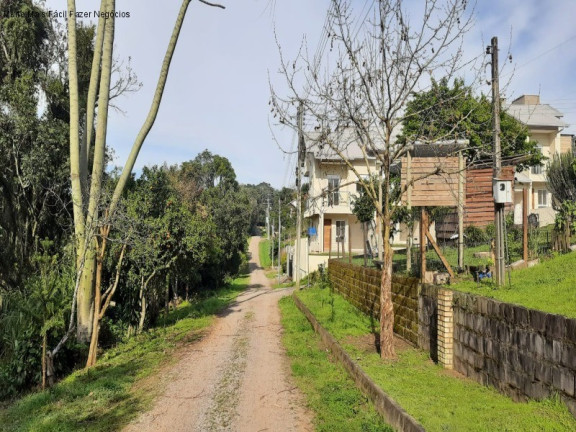 Imagem Casa com 5 Quartos à Venda, 251 m² em Germânia - Nova Petrópolis