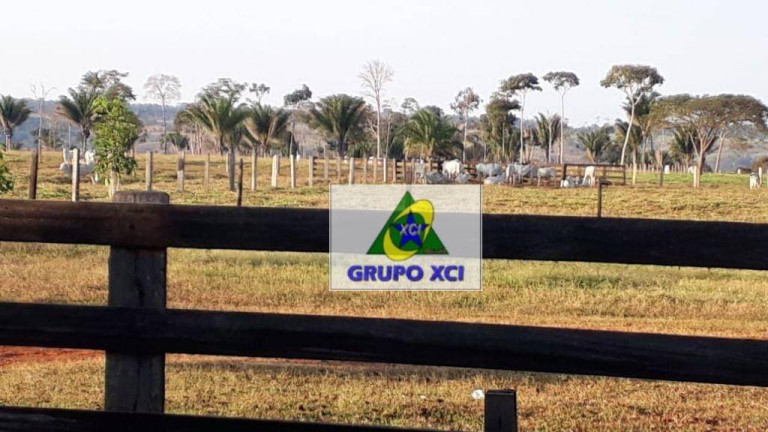 Imagem Fazenda à Venda, 10.527.000 m² em Zona Rural - Juina Imagem Fazenda à Venda, 10.527.000 m² em Zona Rural - Juina