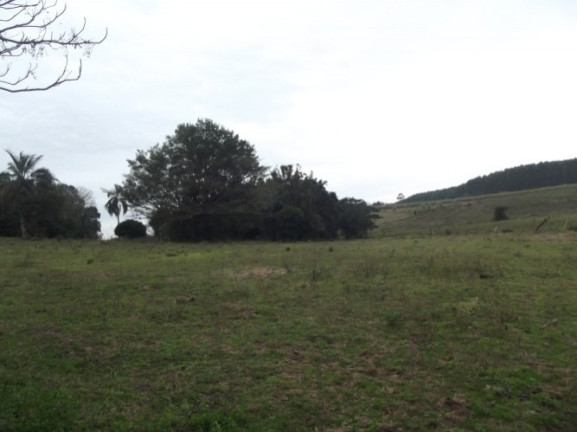 Imagem Chácara com 1 Quarto à Venda, 108.000 m² em Itapuã - Viamão