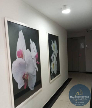 Imagem Apartamento com 2 Quartos à Venda, 44 m² em Jardim Umarizal - São Paulo Imagem Apartamento com 2 Quartos à Venda, 44 m² em Jardim Umarizal - São Paulo