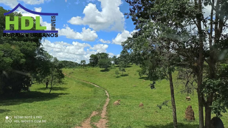 Imagem Fazenda à Venda, 21 m² em Zona Rural - Hidrolândia