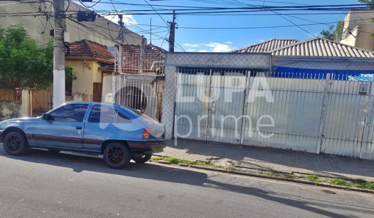 Casa com 3 Quartos à Venda, 326 m² em Vila Maria Baixa - São Paulo