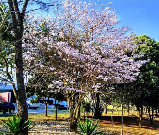 Imagem Casa com 3 Quartos à Venda, 455 m² em Residencial Vale Florido - Piratininga