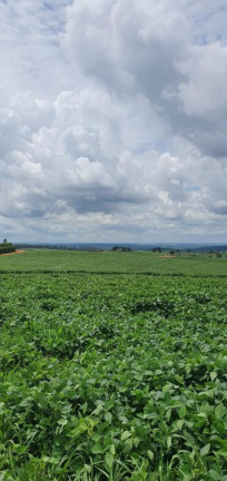 Imagem Fazenda à Venda, 171 m² em Rural - Cabrália Paulista Imagem Fazenda à Venda, 171 m² em Rural - Cabrália Paulista