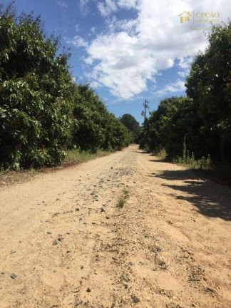 Imagem Fazenda à Venda, 1.760 m² em Porto Feliz - Porto Feliz