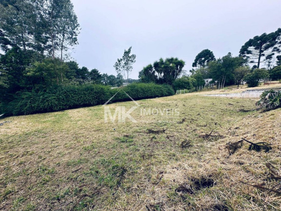 Imagem Chácara com 3 Quartos à Venda, 407 m² em Borda Do Campo (quatro Barras) Imagem Chácara com 3 Quartos à Venda, 407 m² em Borda Do Campo (quatro Barras)