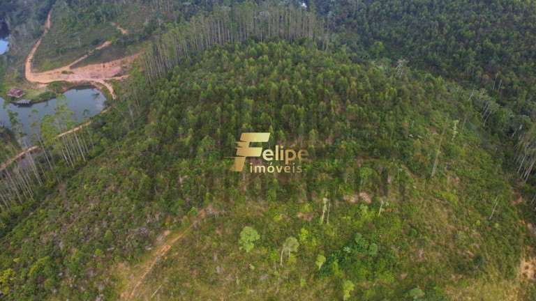 Imagem Imóvel com 1 Quarto à Venda, 80 m² em área Rural De Colatina - Colatina Imagem Imóvel com 1 Quarto à Venda, 80 m² em área Rural De Colatina - Colatina
