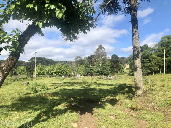Imagem Chácara à Venda, 70.000 m² em Serra Grande Italiana - Gramado Imagem Chácara à Venda, 70.000 m² em Serra Grande Italiana - Gramado