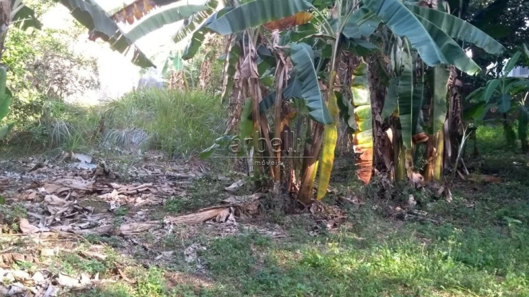 Imagem Terreno à Venda, 1.630 m² em Jardim Mariliza - São Paulo Imagem Terreno à Venda, 1.630 m² em Jardim Mariliza - São Paulo