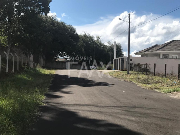 Imagem Terreno à Venda, 325 m² em Alto Da Xv - Guarapuava Imagem Terreno à Venda, 325 m² em Alto Da Xv - Guarapuava
