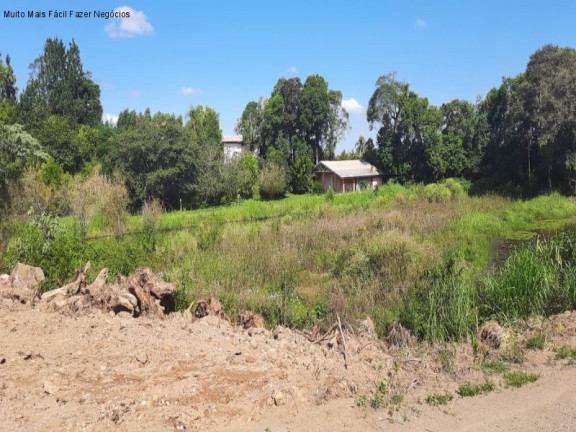 Imagem Terreno à Venda, 494 m² em Linha Olinda - Nova Petrópolis