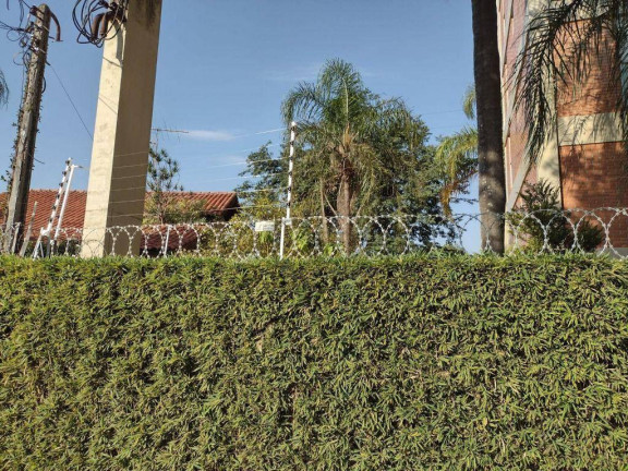 Imagem Casa com 5 Quartos à Venda, 450 m² em Vila Trujillo - Sorocaba Imagem Casa com 5 Quartos à Venda, 450 m² em Vila Trujillo - Sorocaba