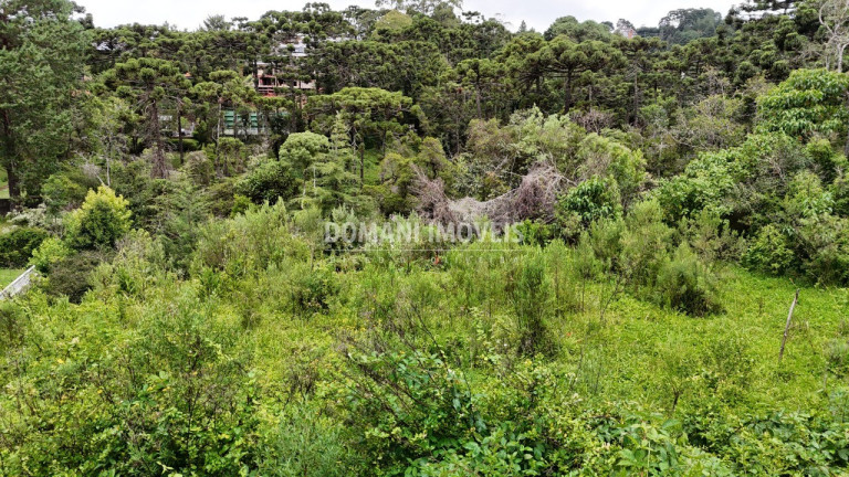 Imagem Terreno à Venda, 1.590 m² em Região De Capivari - Campos Do Jordão