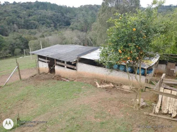 Imagem Imóvel com 4 Quartos à Venda, 22.000 m² em Areia Branca Dos Assis - Mandirituba