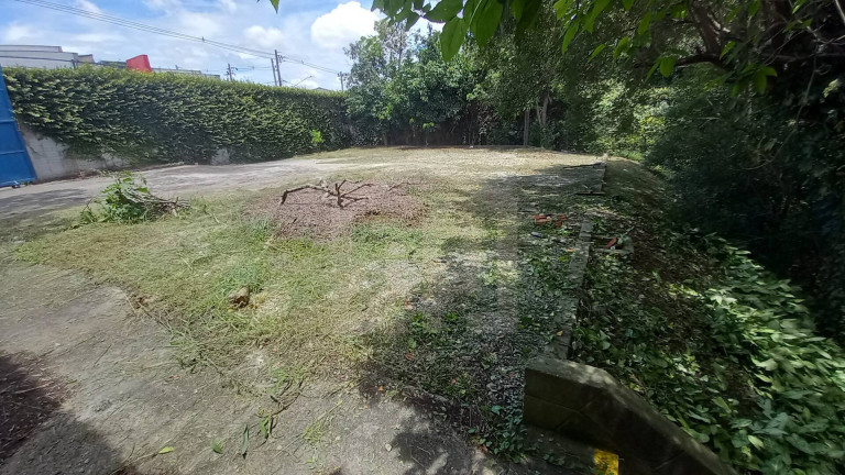Imagem Galpão para Alugar, 1 m² em Vila Friburgo - São Paulo