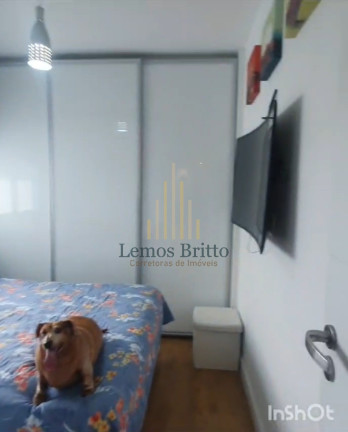 Imagem Imóvel com 3 Quartos à Venda, 10 m² em Itaigara - Salvador Imagem Imóvel com 3 Quartos à Venda, 10 m² em Itaigara - Salvador