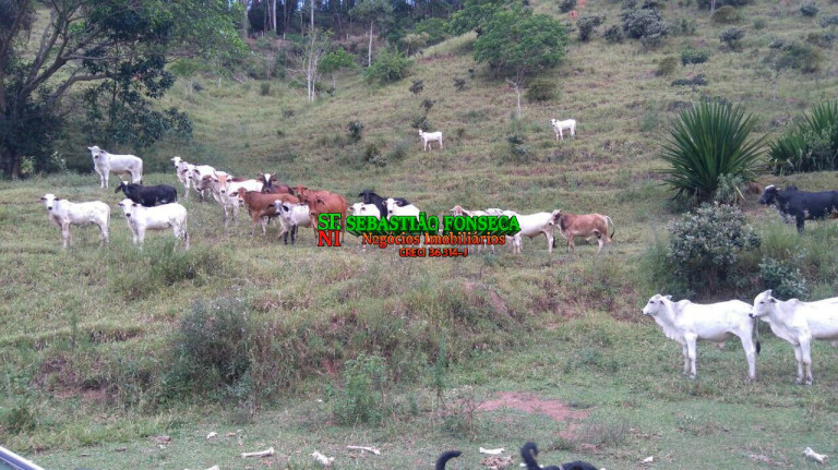 Imagem Fazenda à Venda, 60 m² em Centro - Caçapava Imagem Fazenda à Venda, 60 m² em Centro - Caçapava