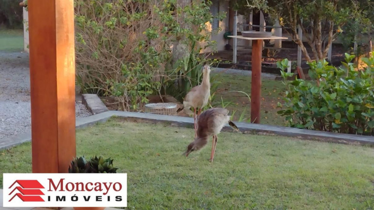 Imagem Imóvel com 4 Quartos à Venda, 6.160 m² em Sitio Recanto Dos Passaros - Paraibuna Imagem Imóvel com 4 Quartos à Venda, 6.160 m² em Sitio Recanto Dos Passaros - Paraibuna