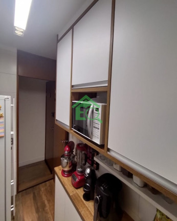 Imagem Apartamento com 3 Quartos à Venda, 65 m² em Vila Do Castelo - São Paulo Imagem Apartamento com 3 Quartos à Venda, 65 m² em Vila Do Castelo - São Paulo