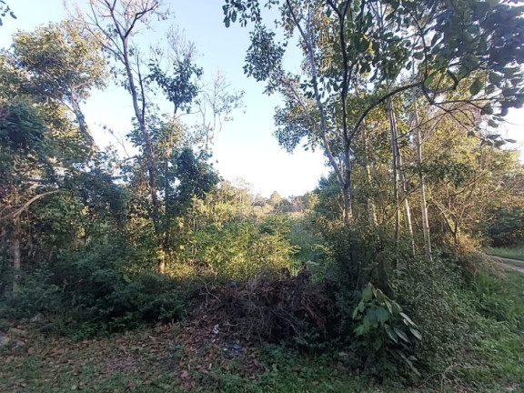 Imagem Terreno à Venda, 3.993 m² em Ratones - Florianópolis Imagem Terreno à Venda, 3.993 m² em Ratones - Florianópolis
