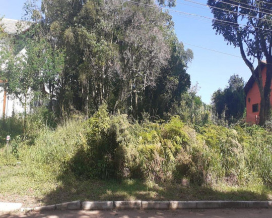 Imagem Imóvel à Venda, 3.286 m² em Pousada Da Neve - Nova Petrópolis
