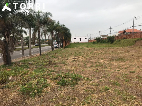 Terreno à Venda, 700 m² em Horto Florestal - Sorocaba